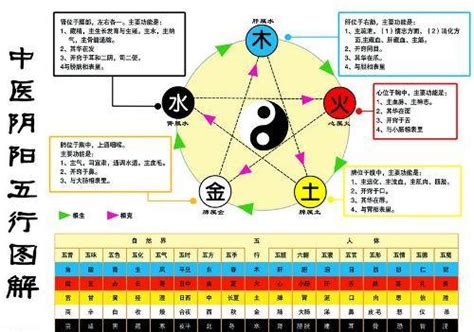 金和水的关系|浅谈五行中的金生水、为什么金生水